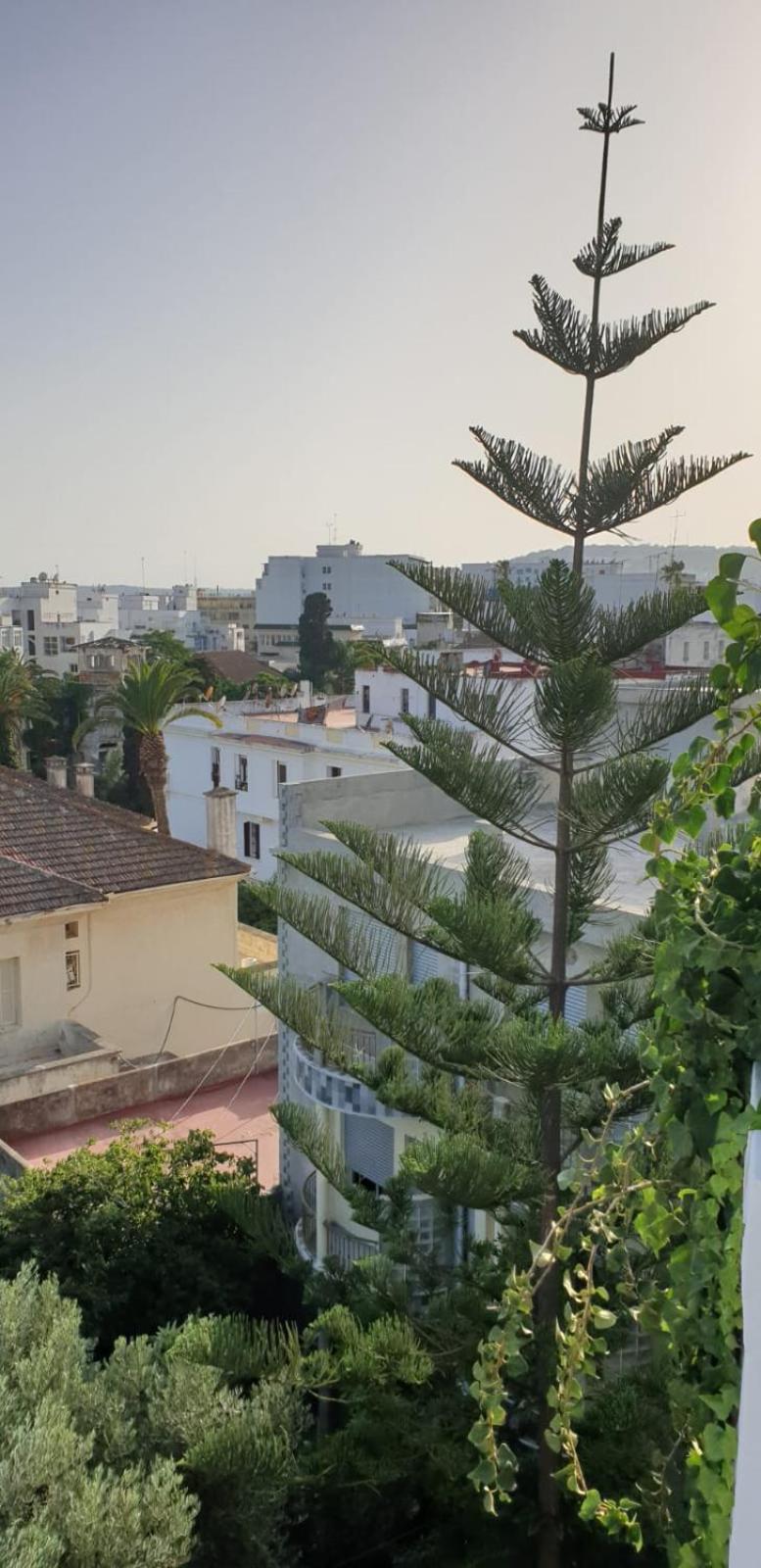 Guesthouse Kasbah Old Medina Tanger المظهر الخارجي الصورة